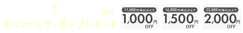 【期間限定】MAX2,000円OFF スペシャルクーポンプレゼント!