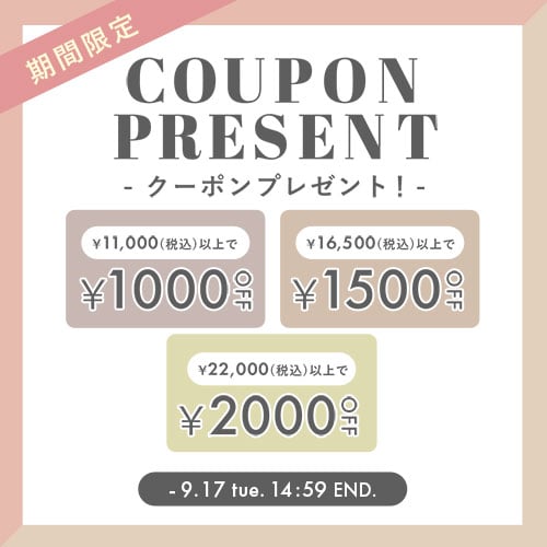 期間限定! 最大2,000円OFFクーポンプレゼント