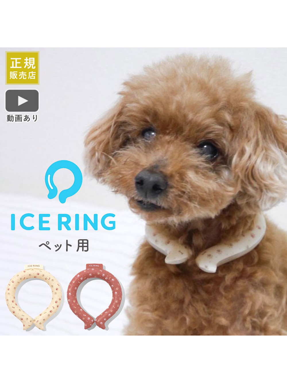 ICE RING suo アイスリング ペット用 高機能ネッククーラー