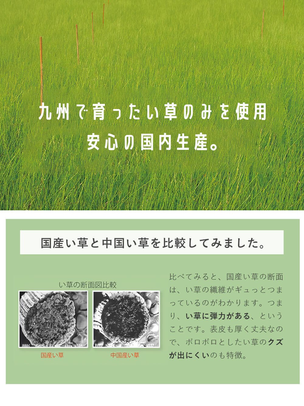九州で育ったい草のみを使用 安心の国内生産